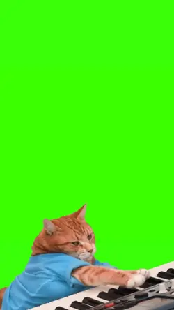 keyboard cat