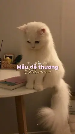 5:20am dễ thương
