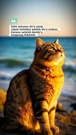 DOA MAKAN