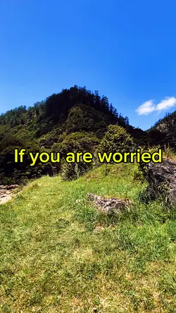 1 video for worry 