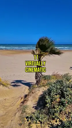 Cinematic_Vibes 