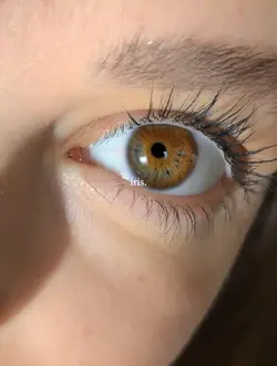 i'm lost in ur iris 