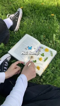 Mei dump 
