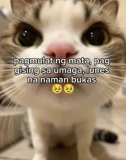 lunes nanaman 
