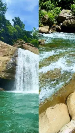 Nature Lover