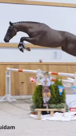 SCOPEY BOY 😍😍