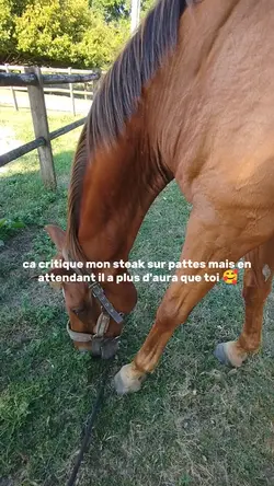 ça critique 