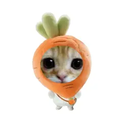 🥕 
