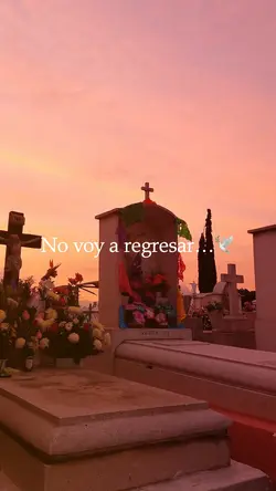 No voy a regresar 🕊️😔