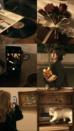 6 pics brown