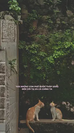 khi những con phố