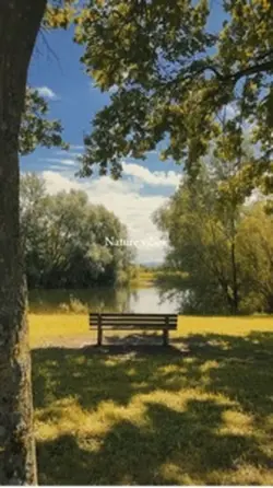aesthetic nature