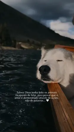 Pet, amor