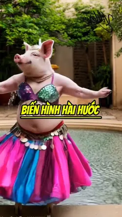 BIẾN HÌNH HÀI HƯỚC 