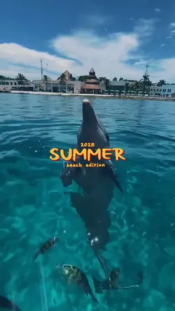 summer 2025 