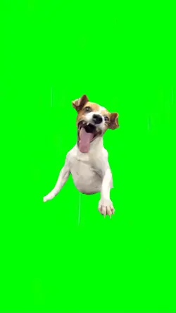 Green Screen Meme