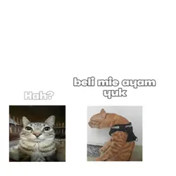 Story 