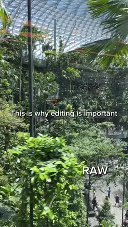 Edited vs Raw