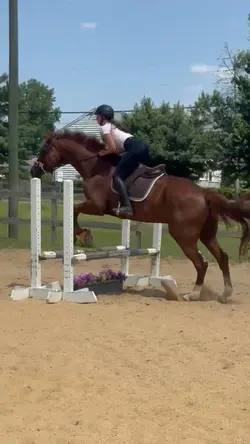 rico!!