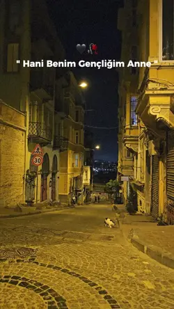 Hani benim gençliğim