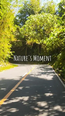Nature's Momentum