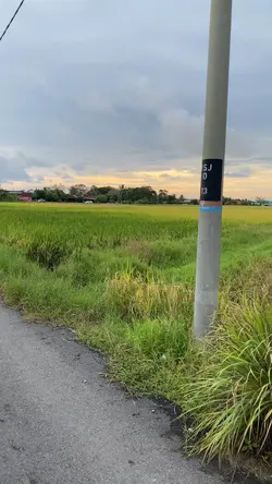 Tak semua kawan 