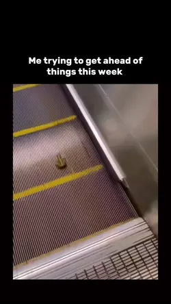 Funny memes 
