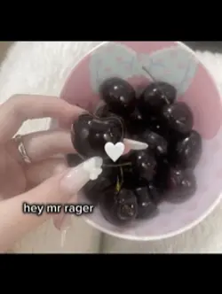 🕊️🕊️🕊️