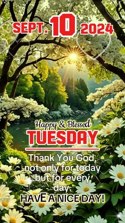 Happy Tuesday