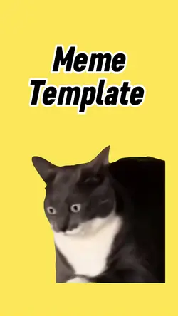 Crazy cat 