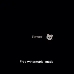 skz watermark