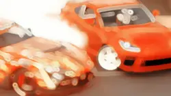 Profesional rally