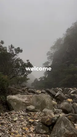 WELCOME THE JUNGLE