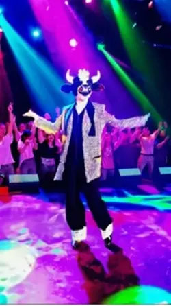 Cow Dance