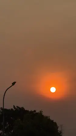 mewarnai hari