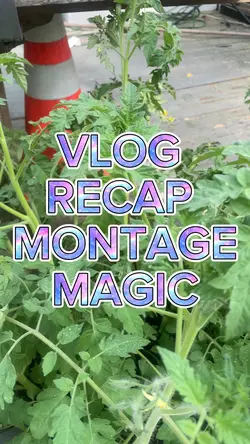 Vlog recap