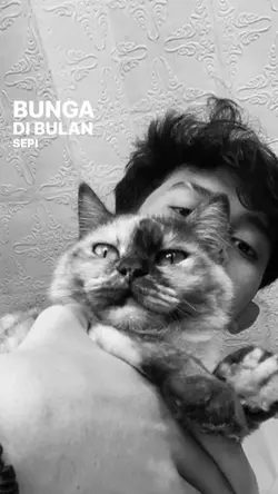 bunga di bulan sepi
