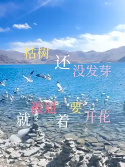 做自己的光 不需要太亮