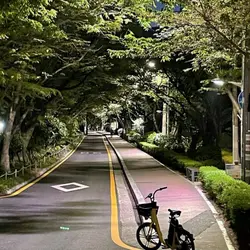새벽감성