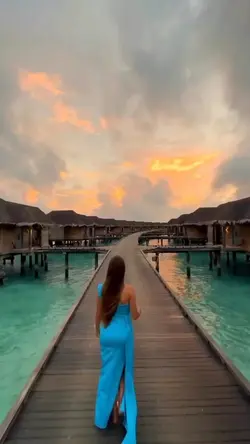 Mini Vlog