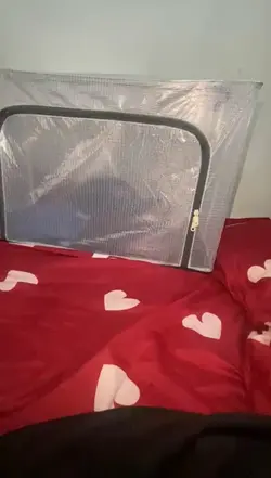 Beg storage 