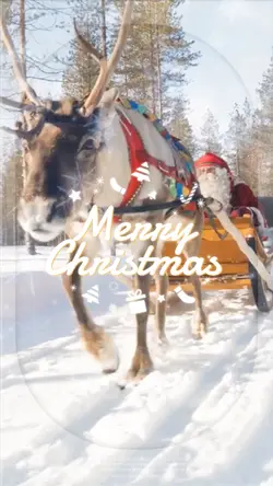 Christmas & New Year