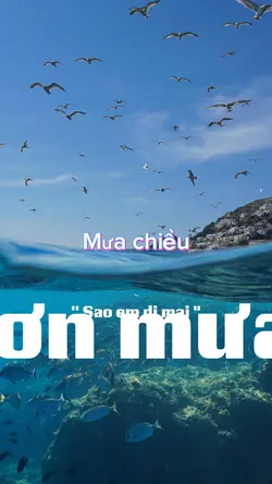 Mưa chiều