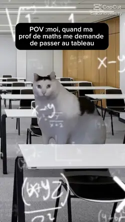 Les prof de maths 