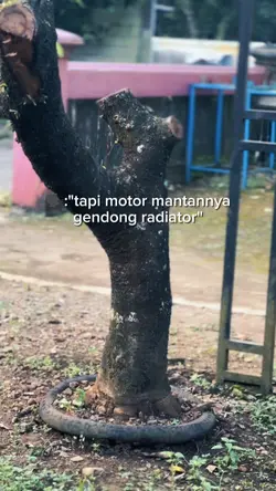 dunia ku solo kan
