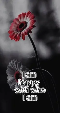 happy with you.