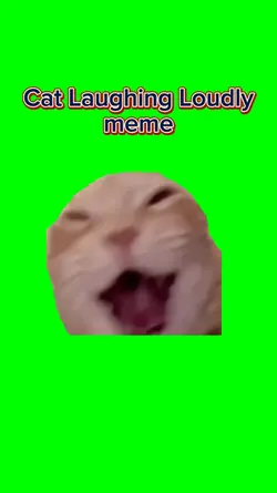 Cat Laughing Loudly