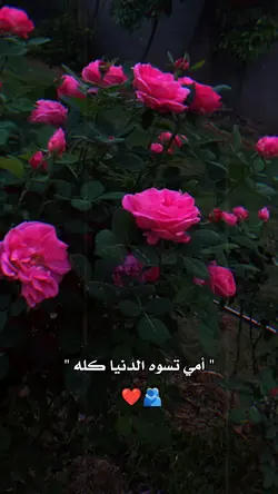 احلى من لورد عطر أمي