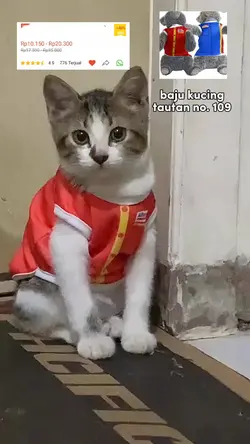 emng boleh