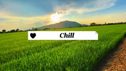 Video chill